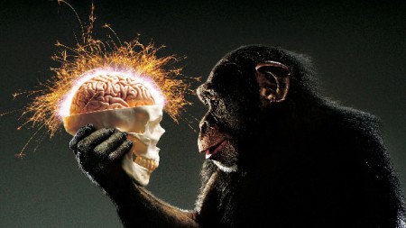 La evolución del Hombre